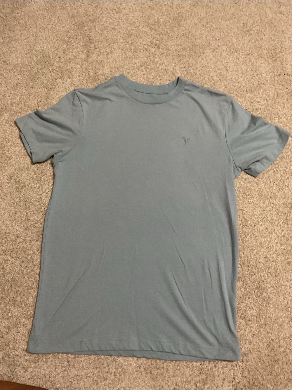 American Eagle Outfitters Men's Crew Tee in Light Blue